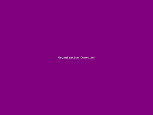 Organization Overview-677.png