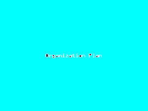 Organization Plan-4589.png