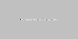 Organization Procedure-994.png