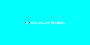 Organization Project-4961.png