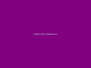 Organization Regulation-687.png