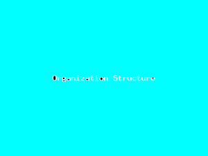 Organization Structure-1674.png