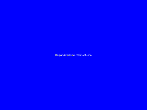 Organization Structure-3406.png