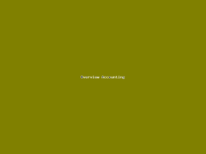 Overview Accounting-4689.png