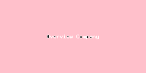 Overview Company-2904.png