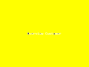 Overview Customer-1384.png