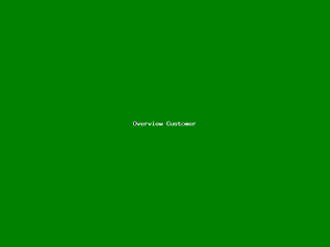 Overview Customer-3202.png