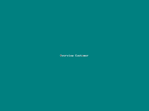 Overview Customer-4200.png