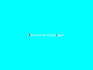 Overview Customer-4640.png
