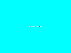 Overview Employee-2756.png