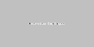 Overview Employee-522.png