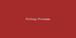 Policy Process-3019.png