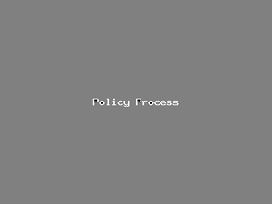 Policy Process-885.png