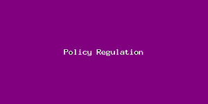 Policy Regulation-2304.png