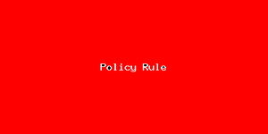Policy Rule-2009.png