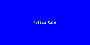 Policy Rule-2042.png