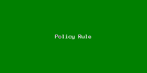 Policy Rule-3005.png