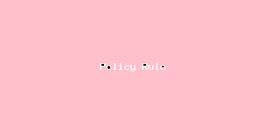 Policy Rule-3183.png
