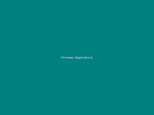 Process Regulation-348.png
