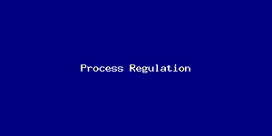 Process Regulation-3625.png