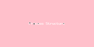 Process Structure-3322.png