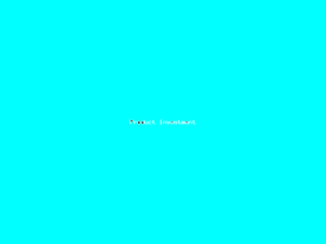 Product Investment-140.png