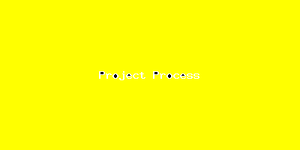 Project Process-3768.png