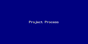 Project Process-595.png