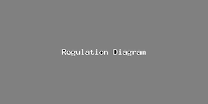 Regulation Diagram-1436.png