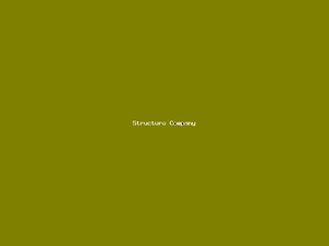 Structure Company-3727.png