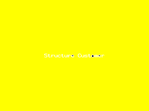 Structure Customer-3391.png