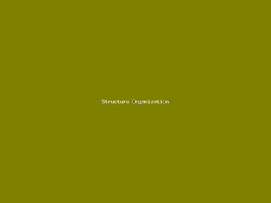 Structure Organization-127.png